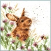 The Meadow (Counted Cross Stitch Kit)